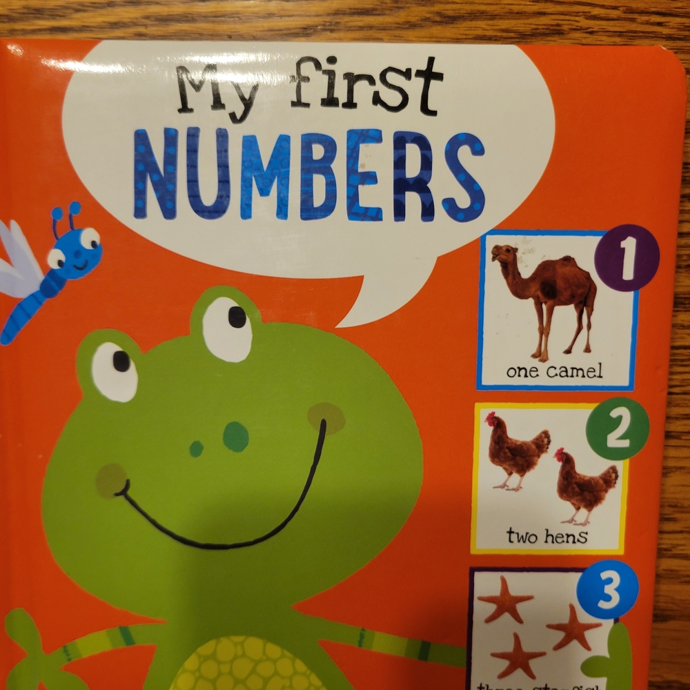 Board Book Set: Colors, Words, Animals & Numbers - Picture 3 of 7